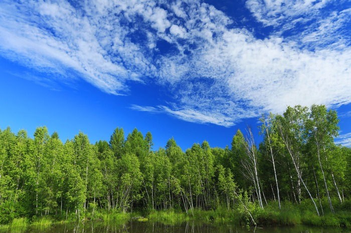 山西3044am永利智能科技有限公司--无人机森林防火解决方案